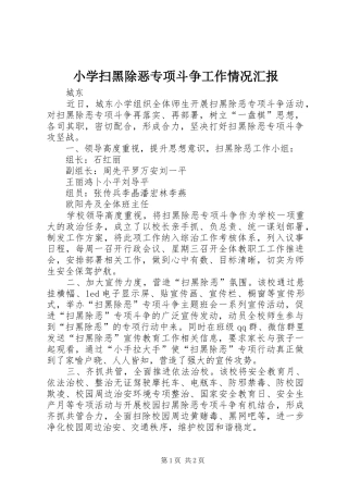 小学扫黑除恶专项斗争工作情况汇报
