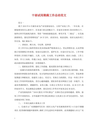 干部试用期满工作总结范文 