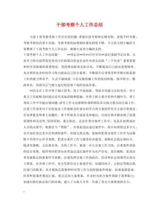 干部考察个人工作总结 