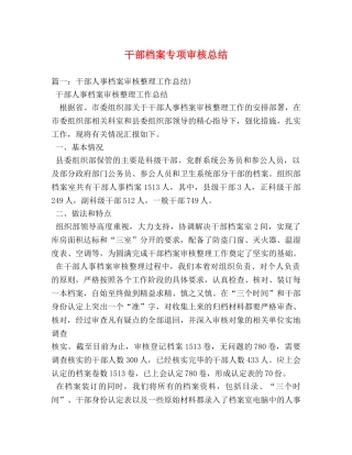 干部档案专项审核总结2 