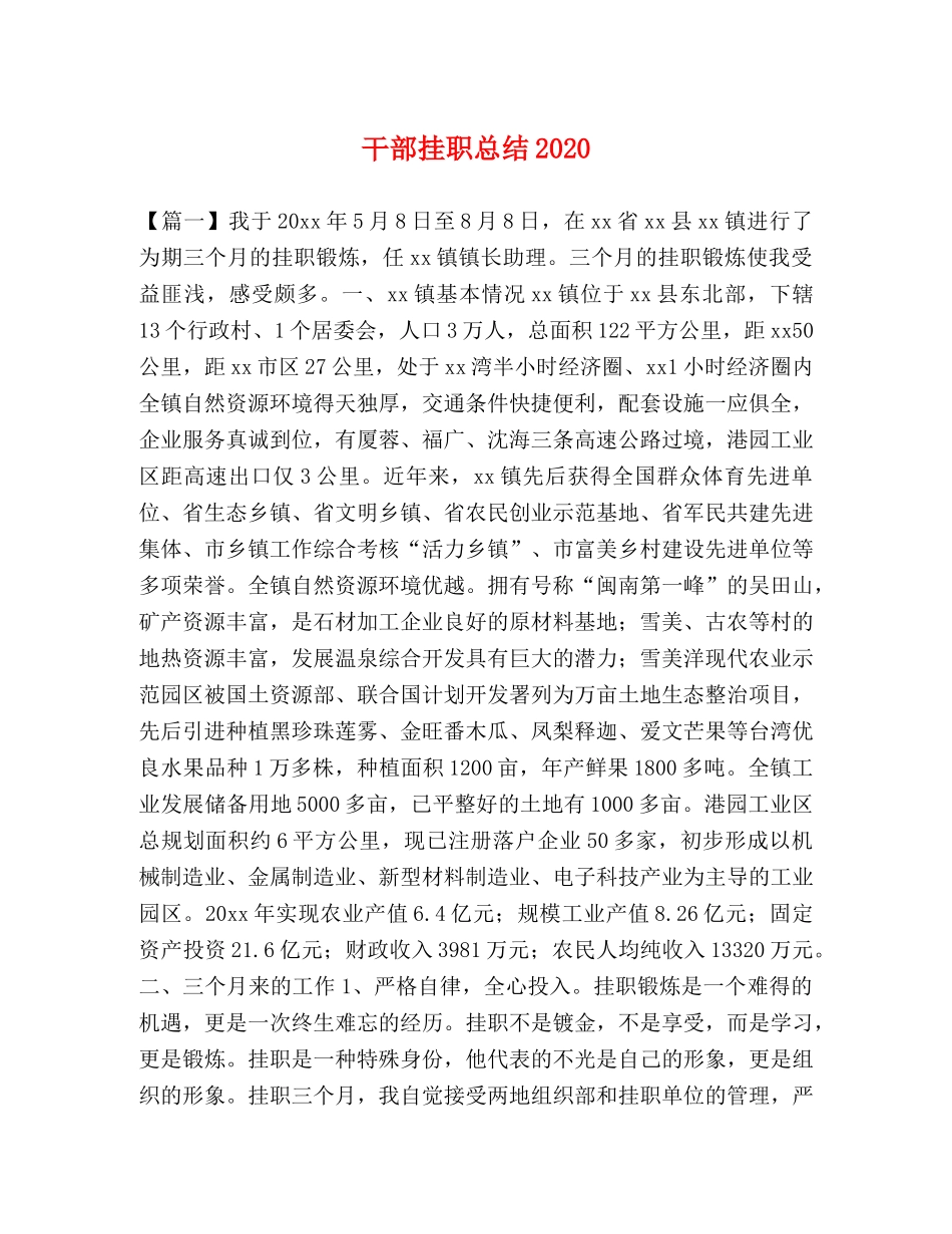 干部挂职总结2020 _第1页