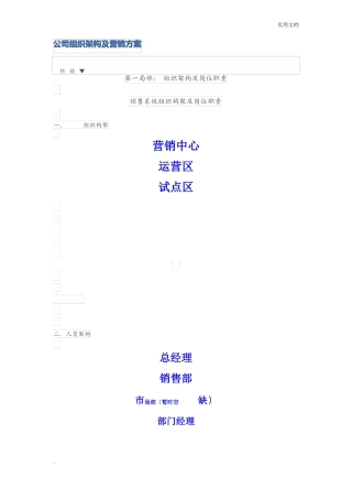 公司组织架构及营销方案