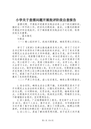 小学关于查摆问题开展批评阶段自查报告
