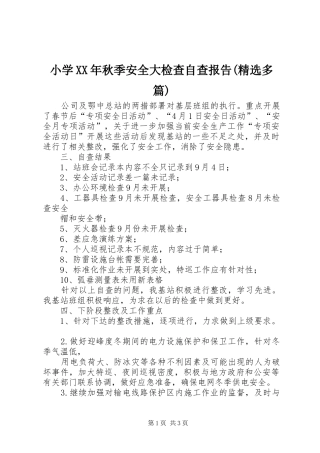 小学XX年秋季安全大检查自查报告(精选多篇)_3