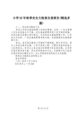 小学XX年秋季安全大检查自查报告(精选多篇)