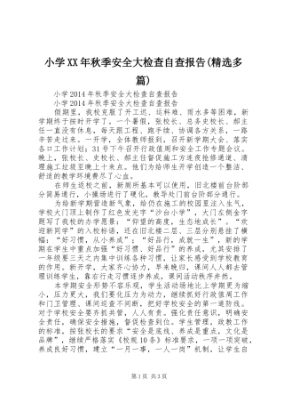 小学XX年秋季安全大检查自查报告(精选多篇)_4