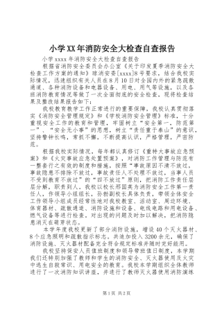 小学XX年消防安全大检查自查报告