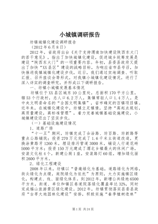 小城镇调研报告