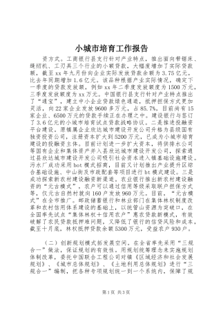 小城市培育工作报告