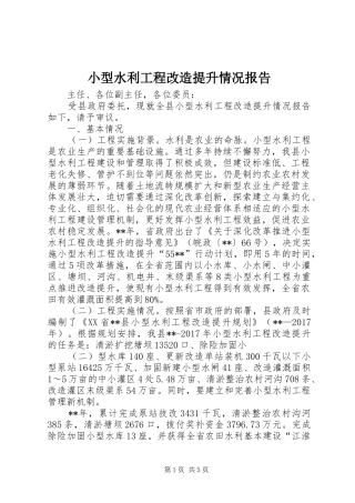 小型水利工程改造提升情况报告