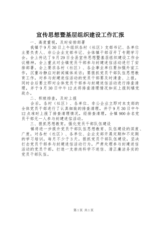 宣传思想暨基层组织建设工作汇报