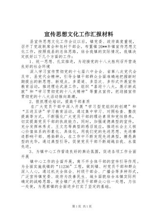 宣传思想文化工作汇报材料