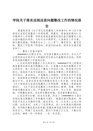 学院关于落实巡视巡查问题整改工作的情况报告