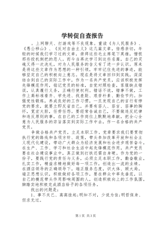 学转促自查报告