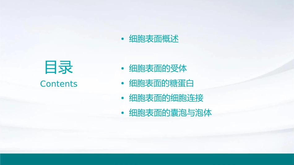 细胞表面及其特化结构课件_第2页