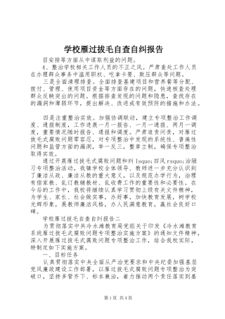 学校雁过拔毛自查自纠报告