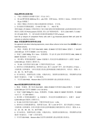 毕赤酵母电转化方法及转化子的筛选