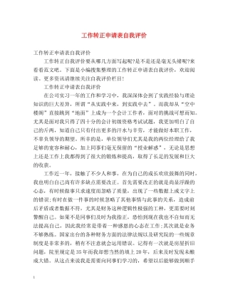 工作转正申请表自我评价 