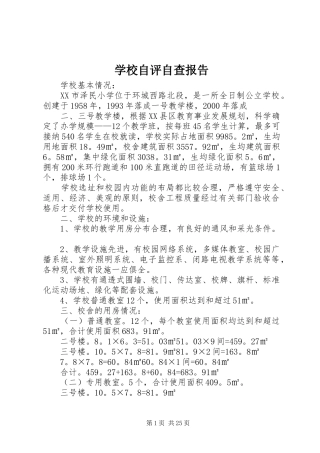 学校自评自查报告