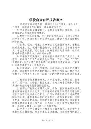 学校自查自评报告范文