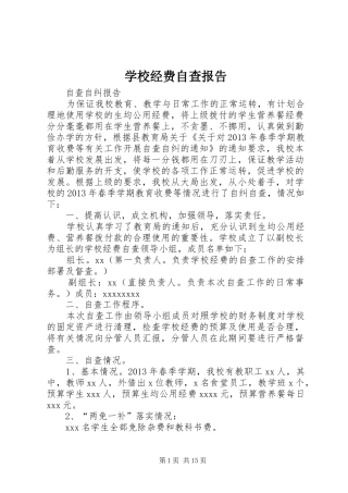 学校经费自查报告