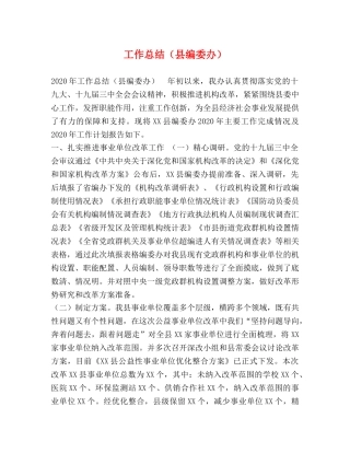 工作总结（县编委办） 