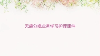 无痛分娩业务学习护理课件