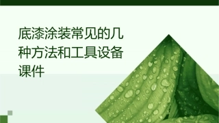 底漆涂装常见的几种方法和工具设备课件