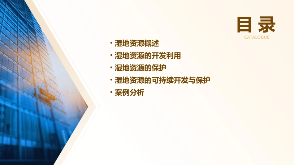 高二地理湿地资源的开发与保护课件_第2页