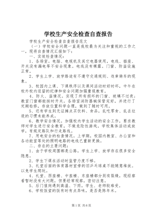 学校生产安全检查自查报告