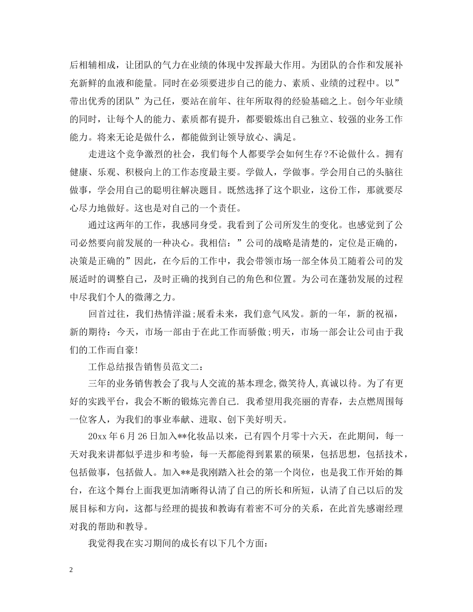 工作总结报告销售员 _第2页