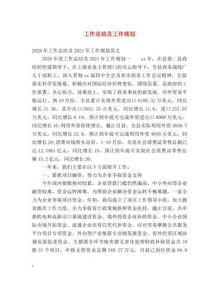 工作总结及工作规划 