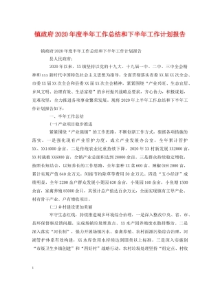 工作总结-镇政府2020年度半年工作总结和下半年工作计划报告 