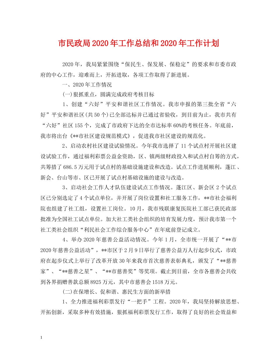 工作总结-市民政局2020年工作总结和2020年工作计划 _第1页