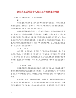 工作总结-企业员工试用期个人转正工作总结报告两篇 