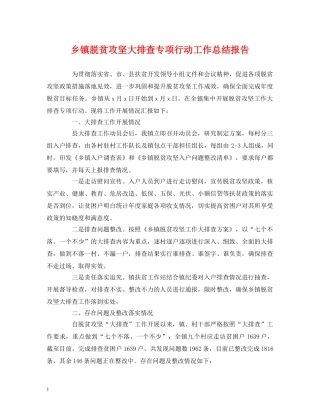 工作总结-乡镇脱贫攻坚大排查专项行动工作总结报告 