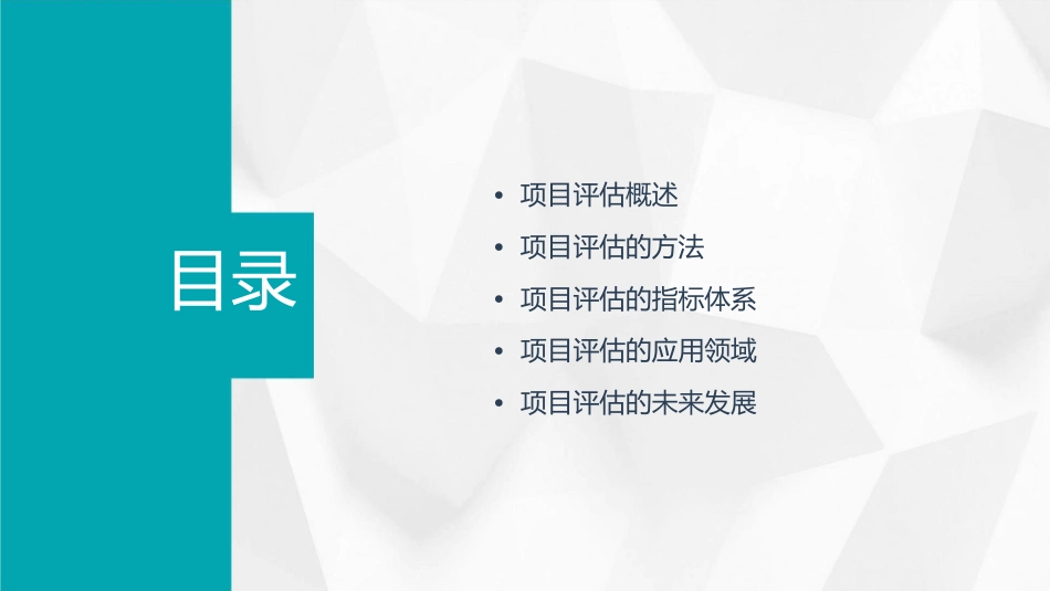 项目评估项目评估导论课件_第2页