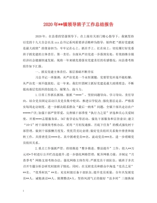工作总结-2020年--镇领导班子工作总结报告 