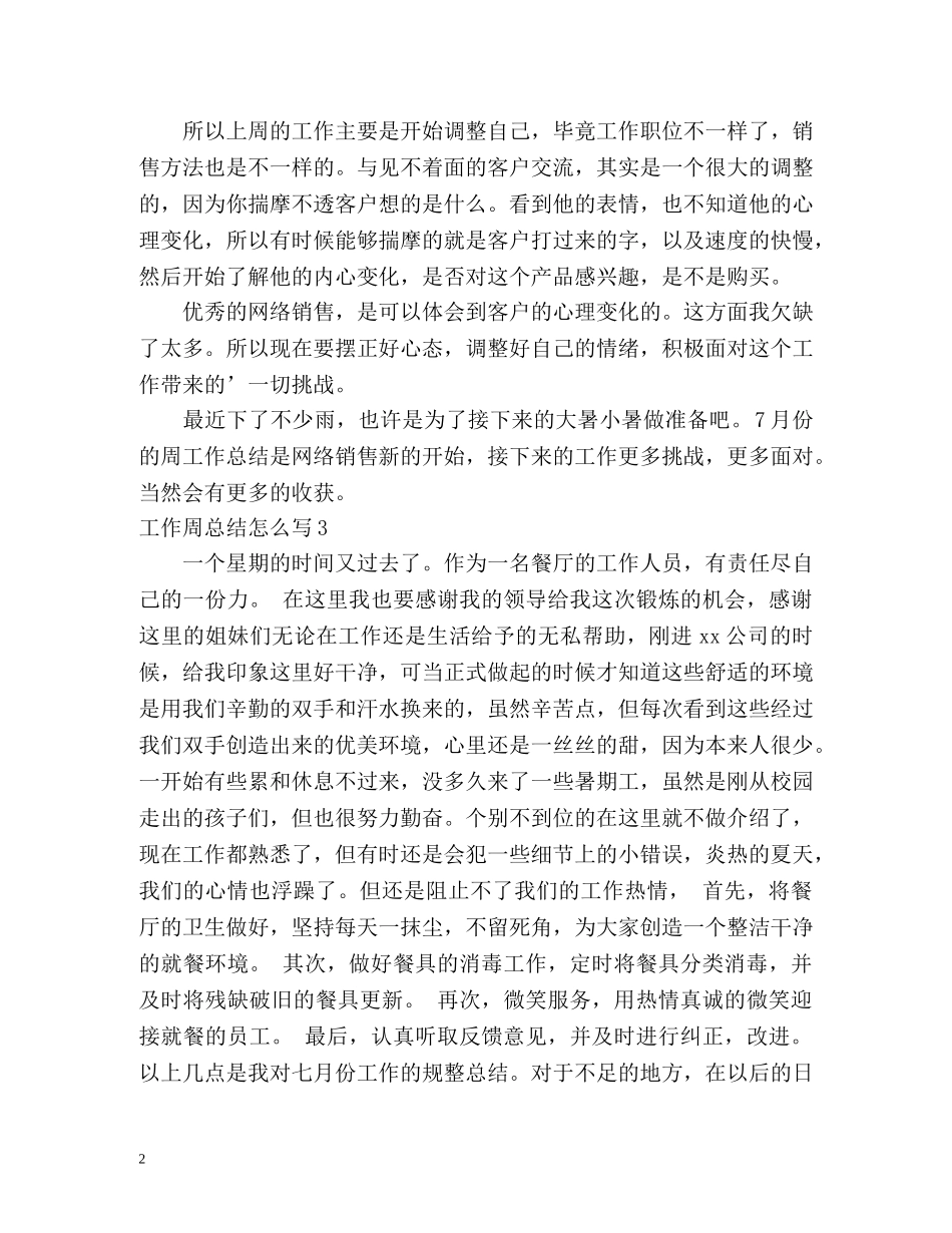 工作周总结怎么写 _第2页