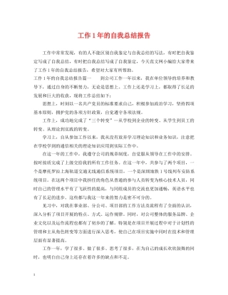 工作1年的自我总结报告 