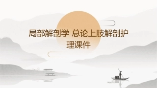 局部解剖学 总论上肢解剖护理课件