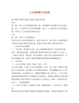 工人试用期工作总结 