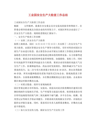 工业园安全生产大检查工作总结 