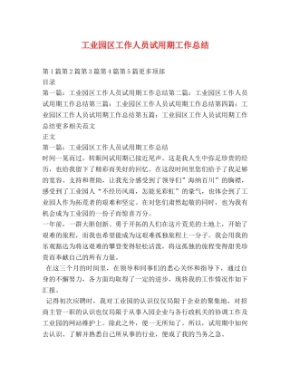 工业园区工作人员试用期工作总结 