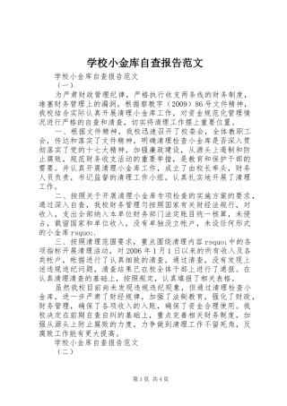 学校小金库自查报告范文