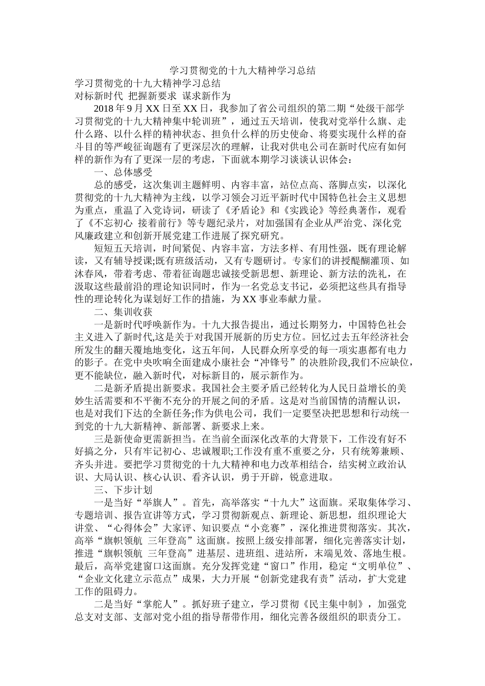 学习贯彻党的十九大精神学习总结参考_第1页