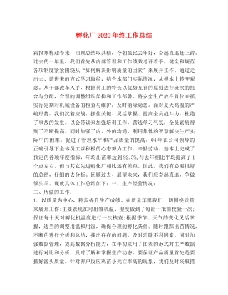 孵化厂2020年终工作总结 