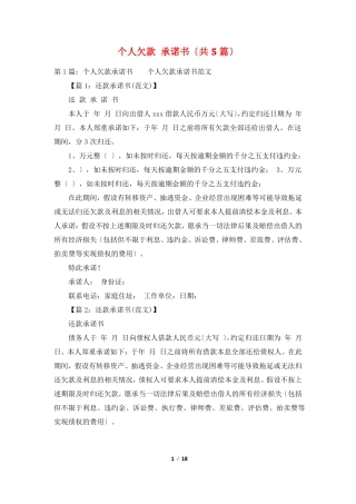 个人欠款承诺书共5篇