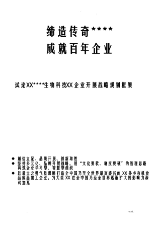 企业发展战略规划框架范例