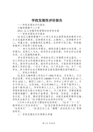 学校发展性评价报告